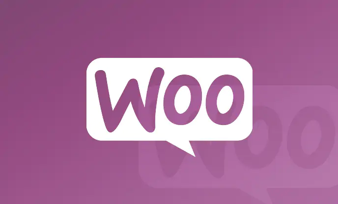 woocommerce-web-design